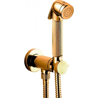 Гигиенический душ Bossini Nikita Mixer Set E37008B со смесителем, золото