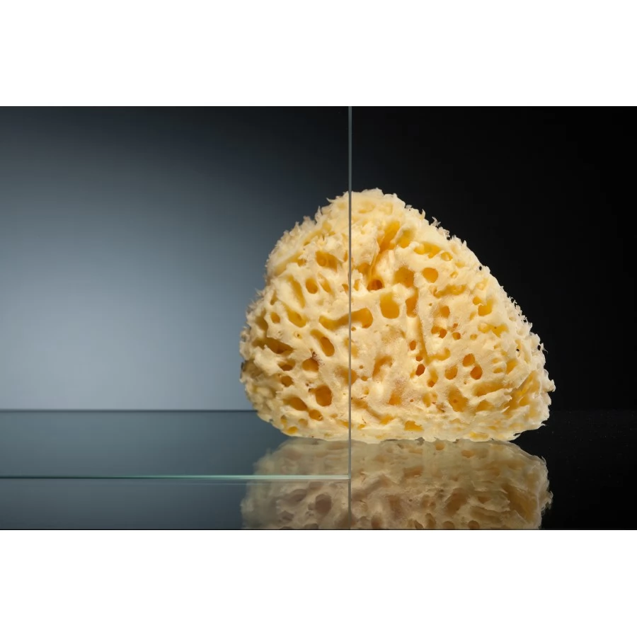Душевой уголок Vegas Glass ZS-F 100*90 08 01 профиль глянцевый хром, стекло прозрачное. Фото 2