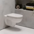 Унитаз подвесной Keramag Renova Nr.1 203050 безободковый. Фото 1