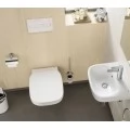 Унитаз подвесной Roca Debba 346997000. Фото 1