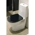 Унитаз-компакт Roca Victoria Nord. Фото 1