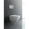 Унитаз подвесной Berges Wasserhaus Puma Rimless 082131 с микролифтом. Фото 1