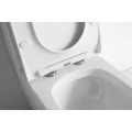 Унитаз-компакт CeramaLux NS-2176 с бачком и сиденьем микролифт. Фото 1