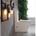 Унитаз CeramaLux NS-2178 с бачком и сиденьем микролифт. Фото 3