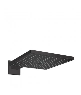 Верхний душ Hansgrohe Raindance 26238670 с держателем