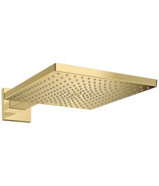 Верхний душ Hansgrohe Raindance 26238990 с держателем