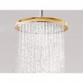 Верхний душ Hansgrohe Raindance Classic 27424000 с держателем. Фото 3