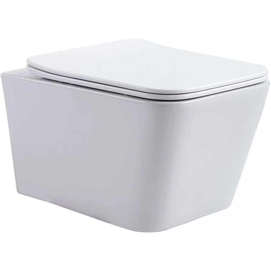 Унитаз подвесной Aquanet Trend 276396 безободковый, с микролифтом