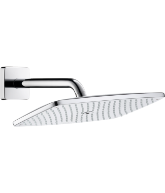 Верхний душ Hansgrohe Raindance 27371000 с держателем